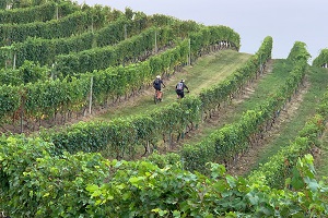 Miravigne Bike, tra Langhe e Monferrato per "pedalare nel bello"