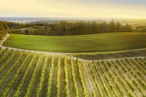 "Dormi & pedala": con Free Hills il Monferrato si scopre in e-bike