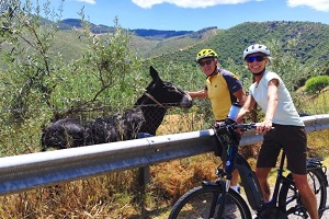 "Sardinia bike service", per scoprire la regione con tour ciclistici, escursioni e cultura