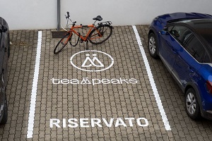 TeamPeaks, la tecnologia per far crescere talenti "sostenibili"